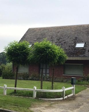 Belgium East-Flanders Lede vacation rental compare prices direct by owner 14397665