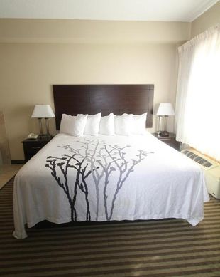 United States North Dakota Bowman vacation rental compare prices direct by owner 14733514