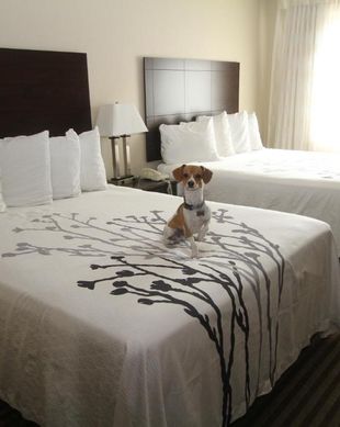 United States North Dakota Bowman vacation rental compare prices direct by owner 11921800