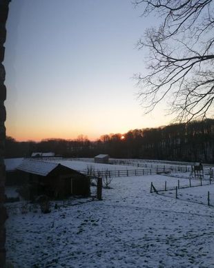 Belgium East-Flanders Brakel vacation rental compare prices direct by owner 14795862