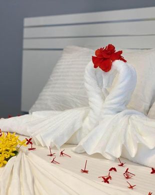 Maldives Ari Atoll Hangnaameedhoo vacation rental compare prices direct by owner 26033325