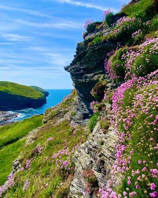 United Kingdom Cornwall Boscastle vacation rental compare prices direct by owner 18853823
