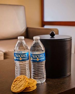 United States Nevada Fallon vacation rental compare prices direct by owner 18332639
