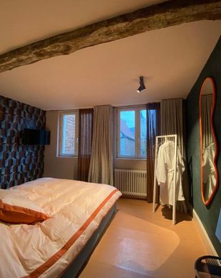 Belgium Antwerpen Province Mechelen vacation rental compare prices direct by owner 26075964