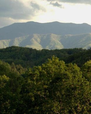 United States Tennessee Sevierville vacation rental compare prices direct by owner 19793253