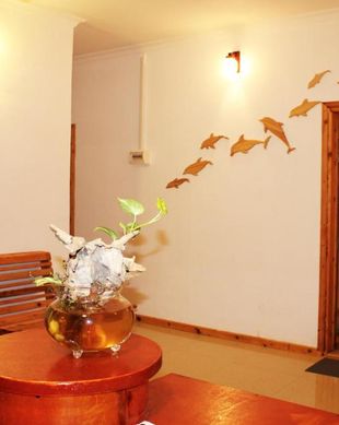 Maldives Kaafu Atoll Guraidhoo vacation rental compare prices direct by owner 15918696