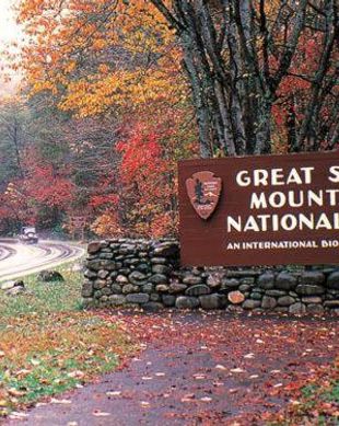 United States Tennessee Gatlinburg vacation rental compare prices direct by owner 24761902
