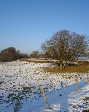 Belgium Belgium Luxembourg Chassepierre vacation rental compare prices direct by owner 13704837