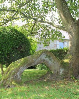 Belgium Namur Province Custinne vacation rental compare prices direct by owner 15759893