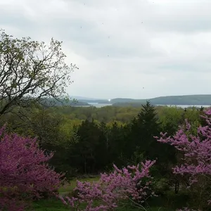 Panoramic views of Lake Tenkiller from the House on the Hill