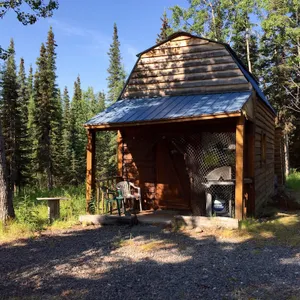 Forget-Me-Not Cabin-in-the-Woods