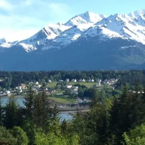 Mountain Ocean View Surrounded by Habitat