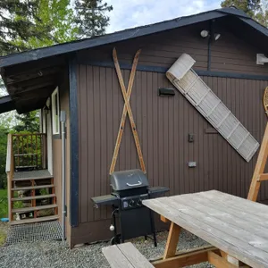 Cute Semi rustic cabin view mountains lake woods on the line of Kasilof Soldotna