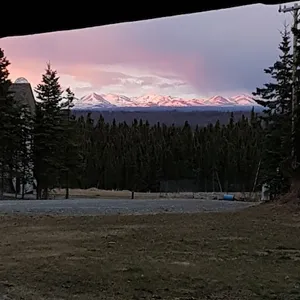 Private Alaskan Cabin on 1 Acre, pet friendly