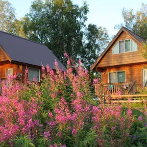 Riverside Cabin at Susitna River Lodging