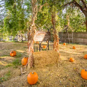 Buffalo Hallow retreat has fall fun/volleyball+