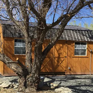 Homesteader Cabin