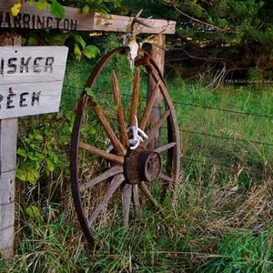 Whisker Creek Ranch