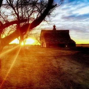 Farmhouse Cabin