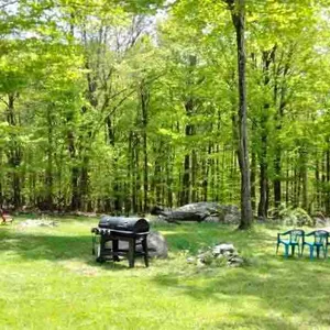 Hoots Roost, Catskills [$0 FEE, Cleaning Included]