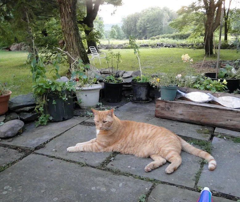 Tranquility in the Mountains Medusa, New York Vacation Rentals HiChee