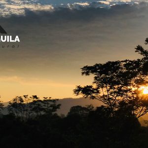 Finca del Aguila ,Casa de campo en Tingo Maria - Tingo María, Huánuco  Vacation Rentals | HiChee