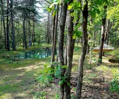 ♥ Sleep in the woods, wake to the birds...Your only neighbors are the wildlife!