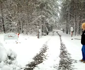♥ Sleep in the woods, wake to the birds...Your only neighbors are the wildlife!