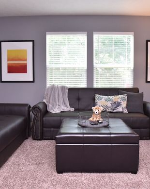 United States Indiana Indianapolis vacation rental compare prices direct by owner 173618
