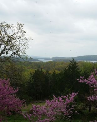 United States Oklahoma Park Hill vacation rental compare prices direct by owner 205356