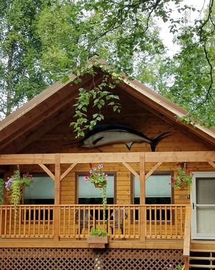 United States Alaska Talkeetna vacation rental compare prices direct by owner 11668794