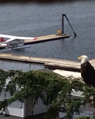 United States Alaska Ketchikan vacation rental compare prices direct by owner 11595730