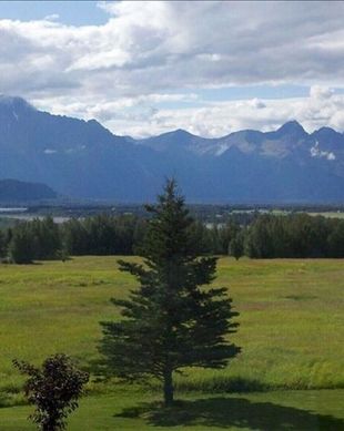 United States Alaska Palmer vacation rental compare prices direct by owner 11466888