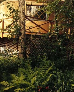 United States Alaska Talkeetna vacation rental compare prices direct by owner 11597156