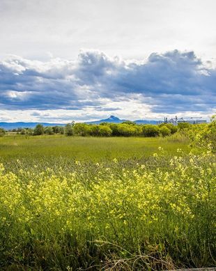 United States Wyoming Powell vacation rental compare prices direct by owner 11457868