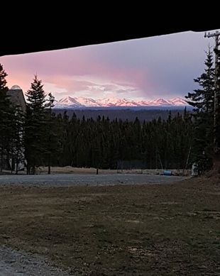 United States Alaska Soldotna vacation rental compare prices direct by owner 11419214