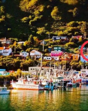 United States Alaska Kodiak vacation rental compare prices direct by owner 12025607
