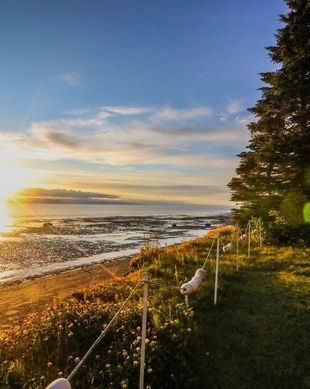 United States Alaska Kasilof vacation rental compare prices direct by owner 11466659