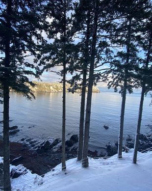 United States Alaska Kodiak vacation rental compare prices direct by owner 2880135