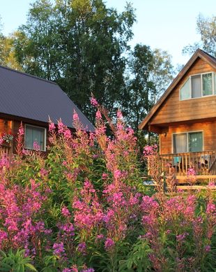 United States Alaska Talkeetna vacation rental compare prices direct by owner 24882093