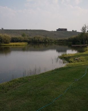 United States Wyoming Pinedale vacation rental compare prices direct by owner 692090