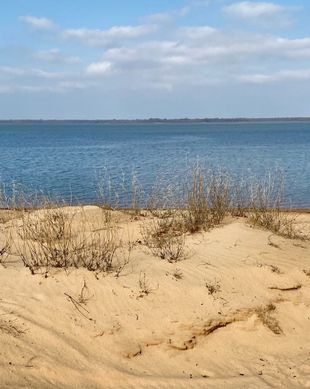United States Oklahoma Eufaula vacation rental compare prices direct by owner 13061945