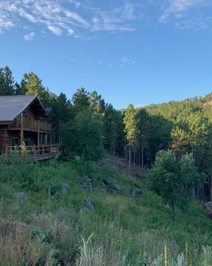 United States South Dakota Keystone vacation rental compare prices direct by owner 686779