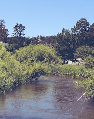United States South Dakota Hill City vacation rental compare prices direct by owner 335521