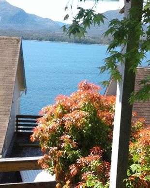 United States Alaska Ketchikan vacation rental compare prices direct by owner 2905094