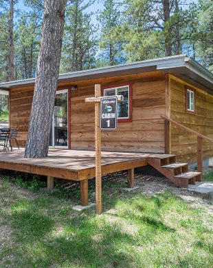 United States South Dakota Custer vacation rental compare prices direct by owner 25004932
